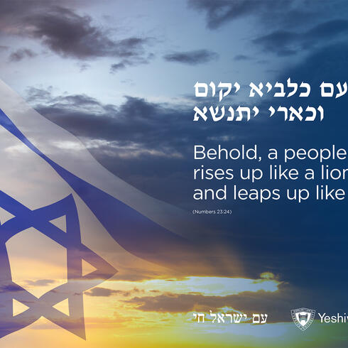 XWVTM Supermarché - Produits au meilleur rapport qualité-prix Le Arc Raiders « Equalizer » : une mitrailleuse légendaire, composée de puissantes armes récupérées sur les champs de bataille Comment acheter de manière la plus rentable Leads with Strength, Support and Solidarity Amid War